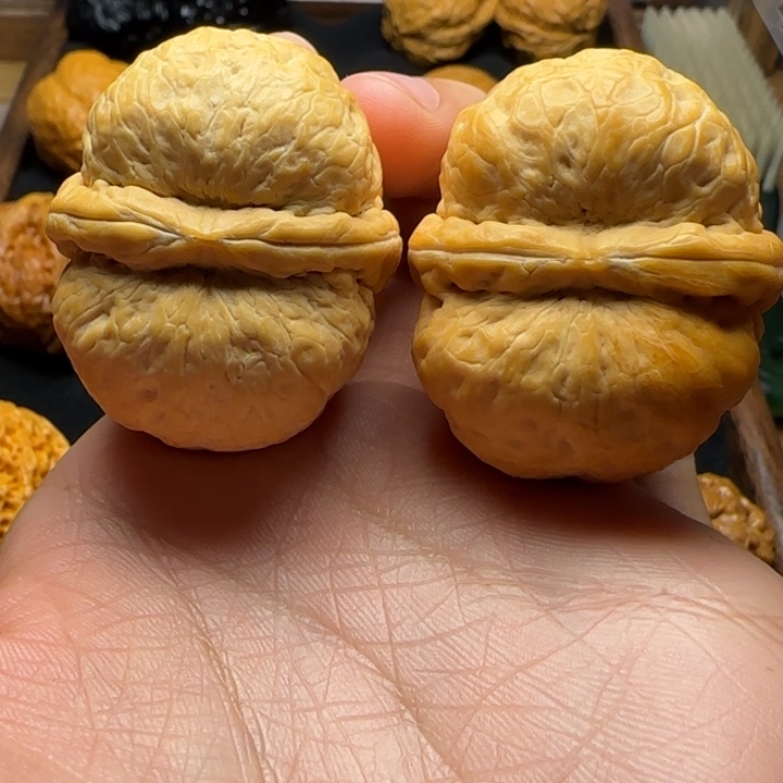 文玩核桃把件42尺二炸架接（轻）