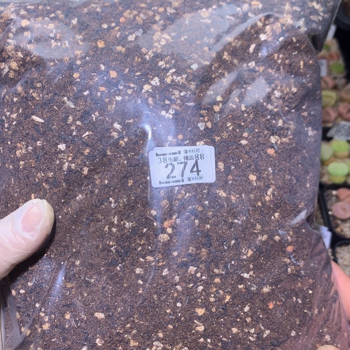 zzz精品生石花274