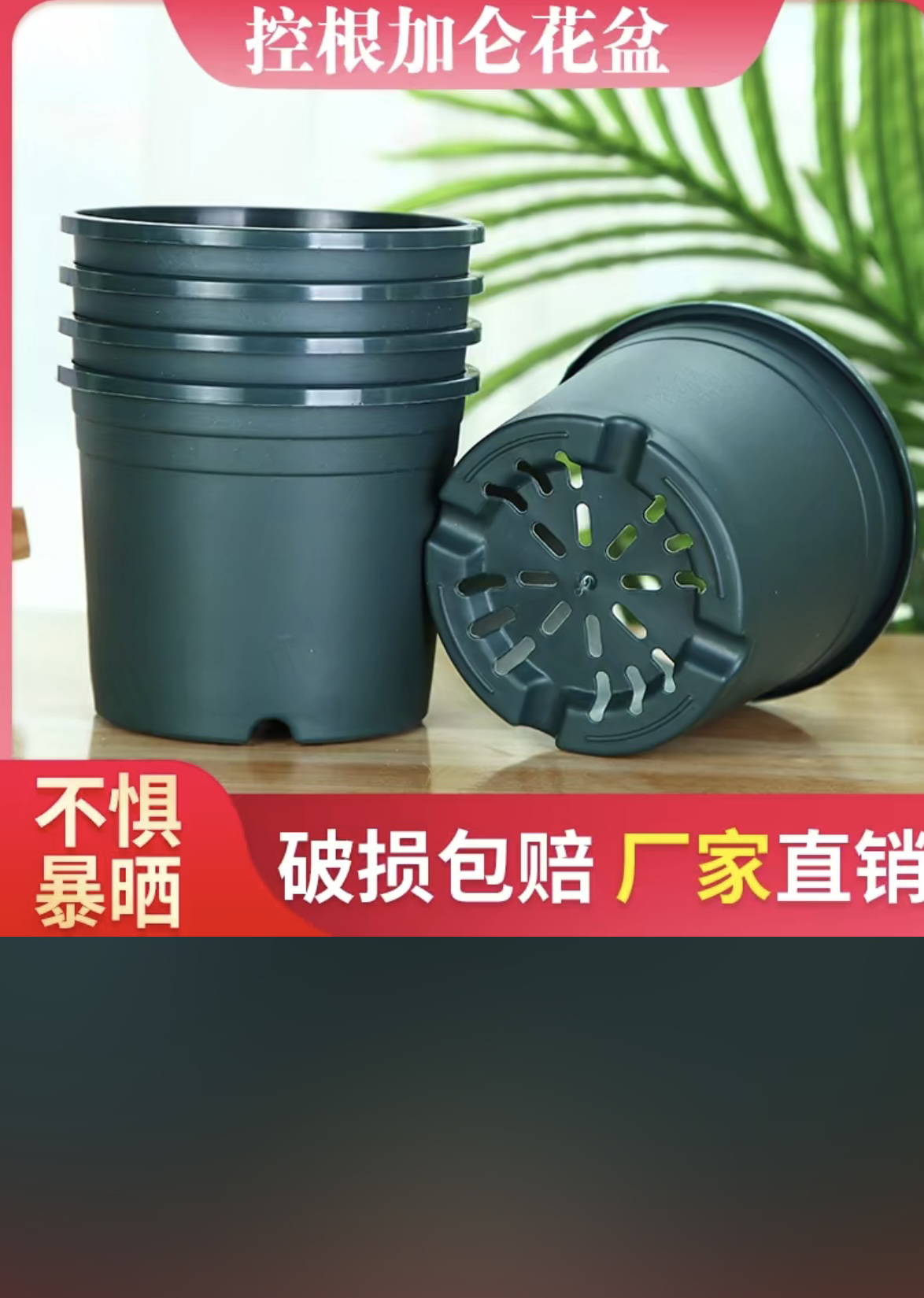 透气控根120盆20个
