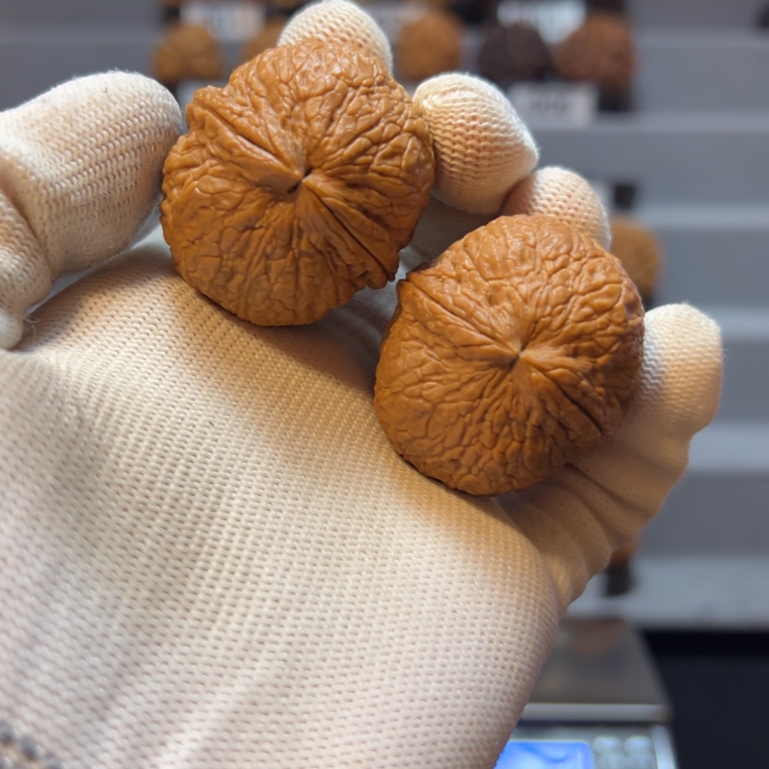 点***点文玩核桃把件40铁龙珠62克