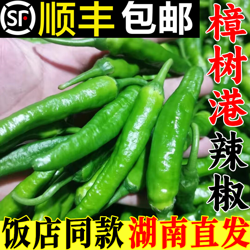 顺丰樟树原种青辣椒新鲜5斤微辣薄皮嫩港青椒湖南岳阳特产章树镇3