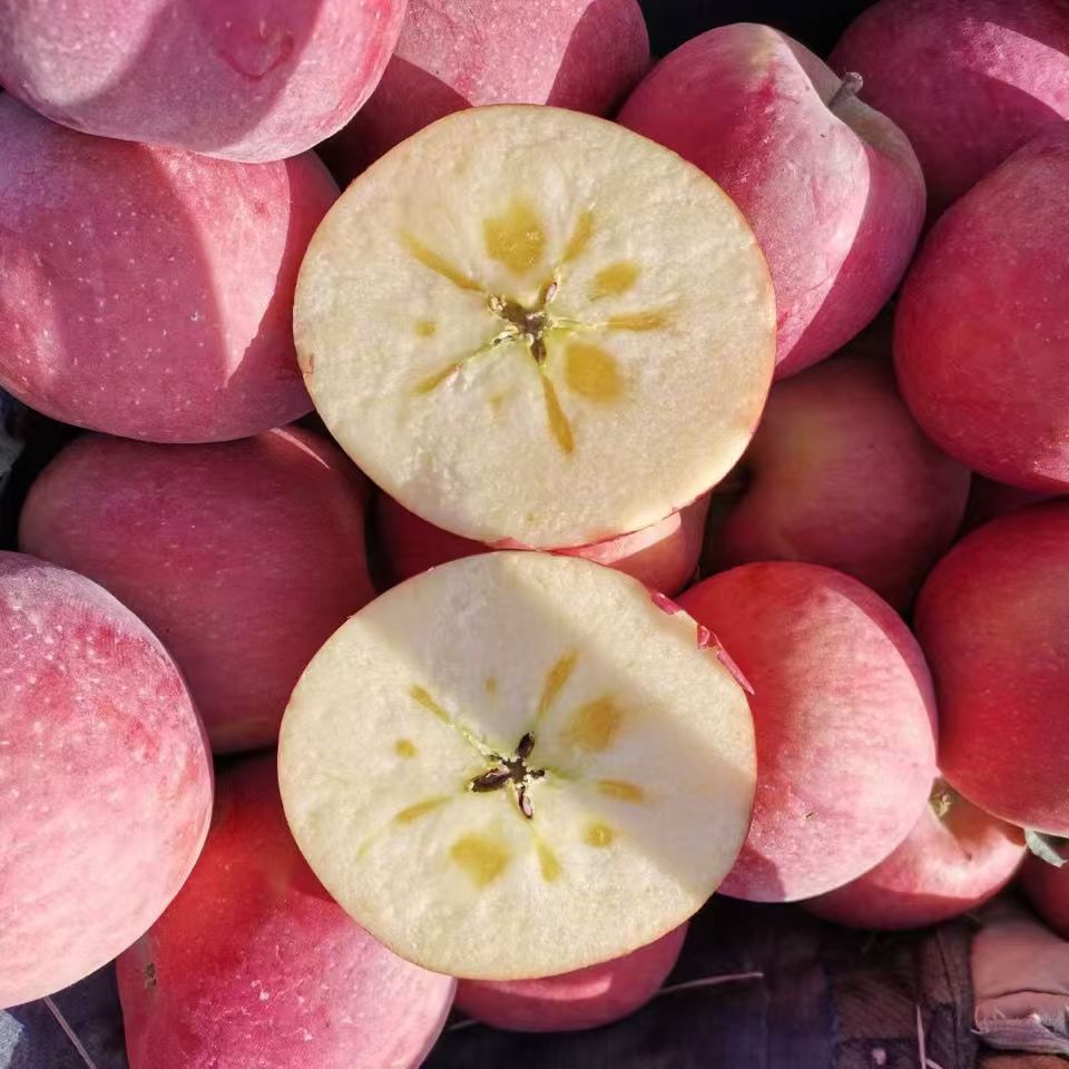 【顺丰次日达】阿克苏苹果丑苹果甘甜脆爽3kg/4.5kg选装新疆维吾尔自治区