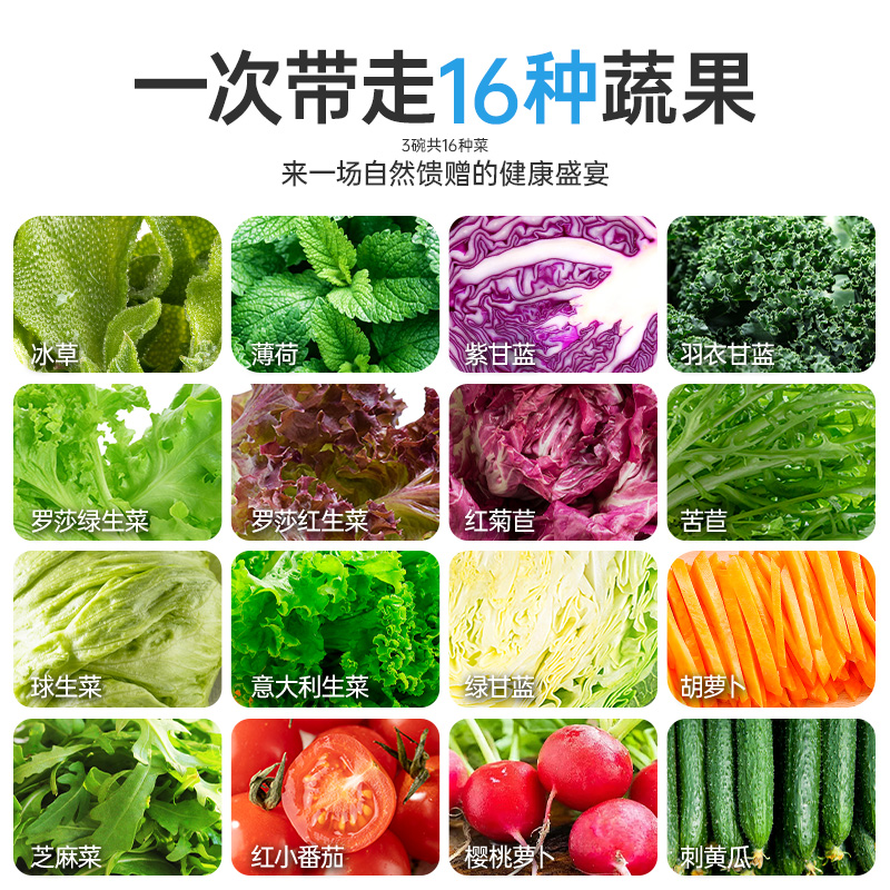 一号农场16种蔬果即食冰草混合蔬菜沙拉新鲜生菜解腻管理期代餐 图片 3
