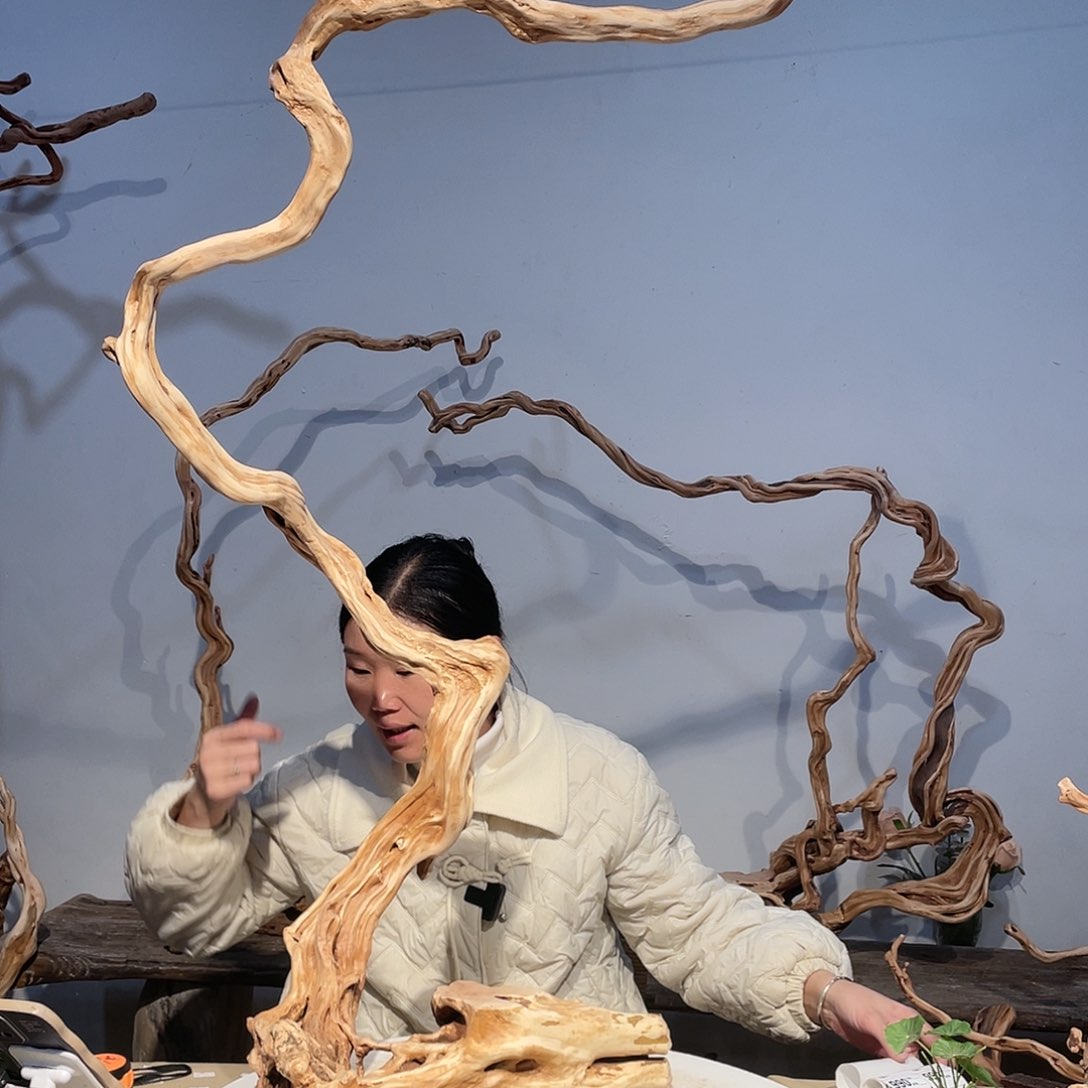 核桃木/黑胡桃（胡桃木）老*