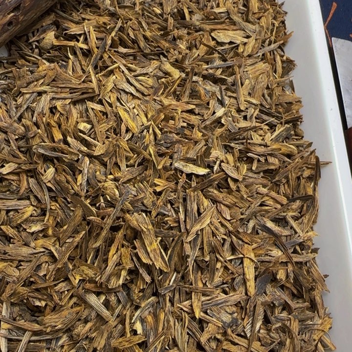 木金沙叶虫漏勾丝50克