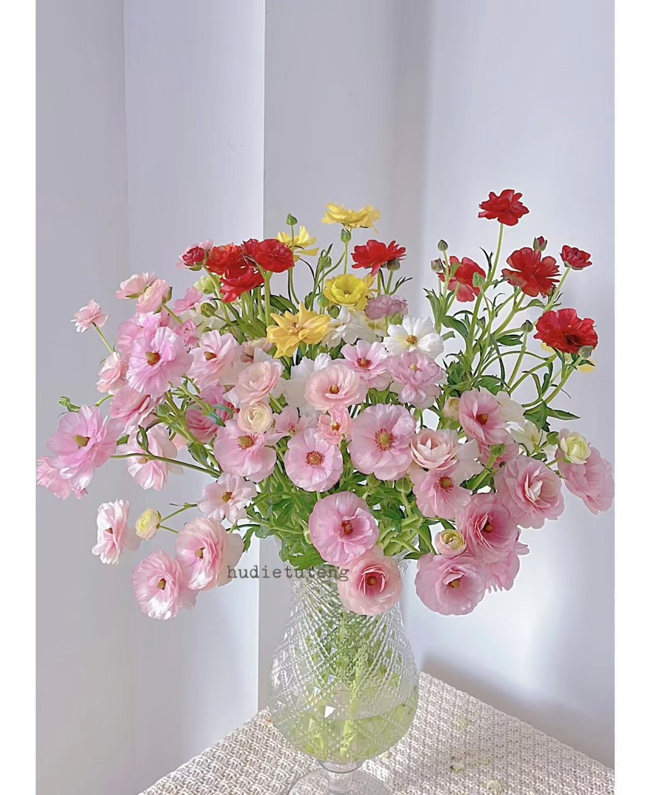 混色蝴蝶洋牡丹  以直播间实物为准