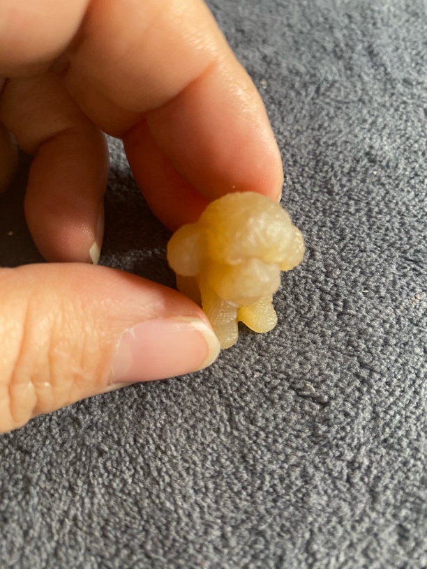 天然和田玉糖料小狗