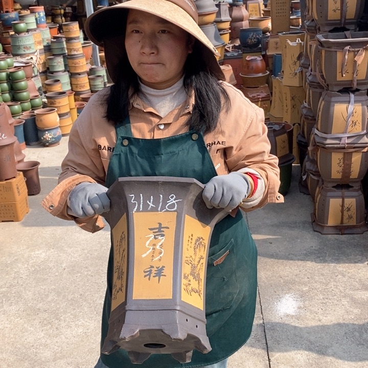 紫砂花盆盆栽花卉苗木种植