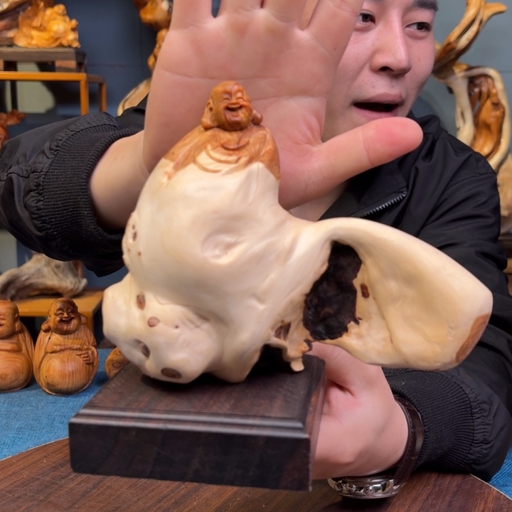 柏木（崖柏）关注一下