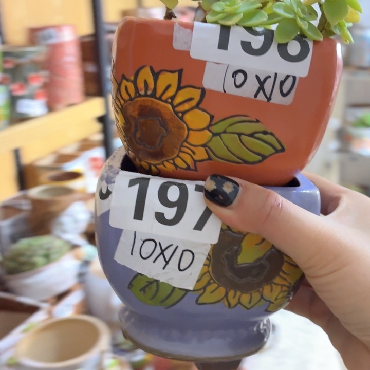 多肉花盆满15包邮