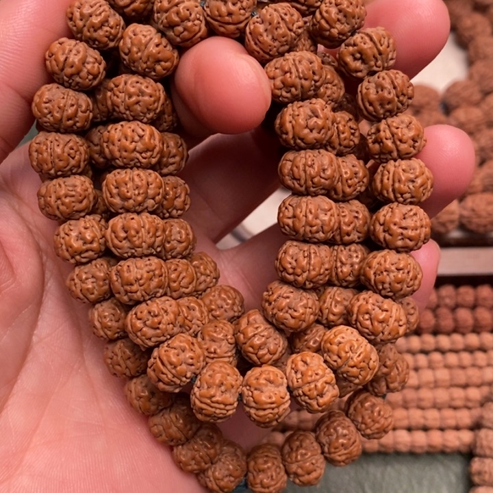 菩提春****…纯血老树王