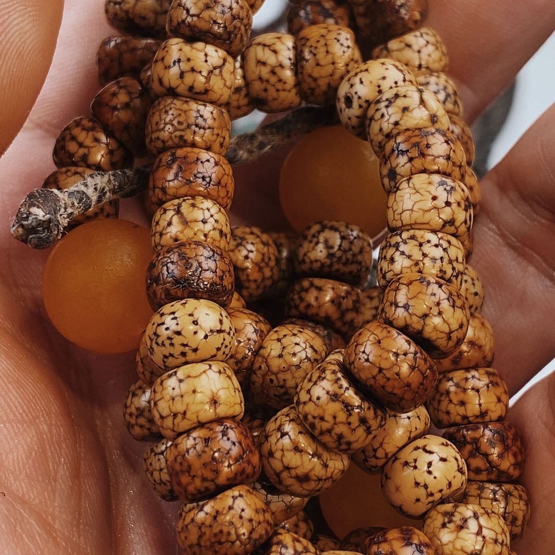 啊啊啊啊啊啊啊啊啊啊啊