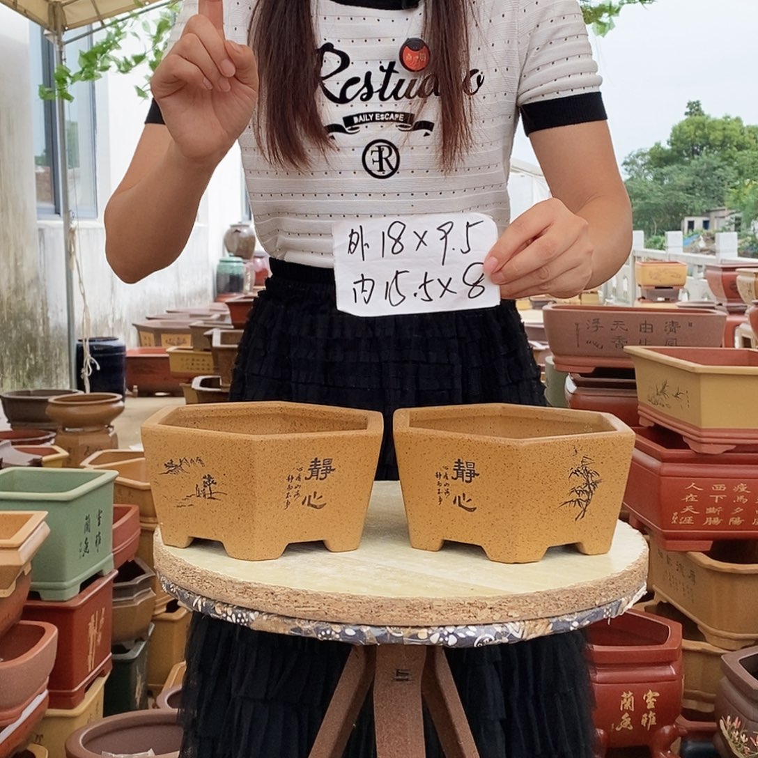 紫砂花盆紫砂花盆