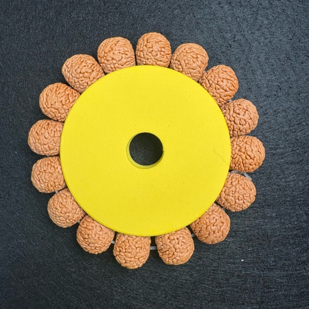 龙鳞凤尾，纯野凤