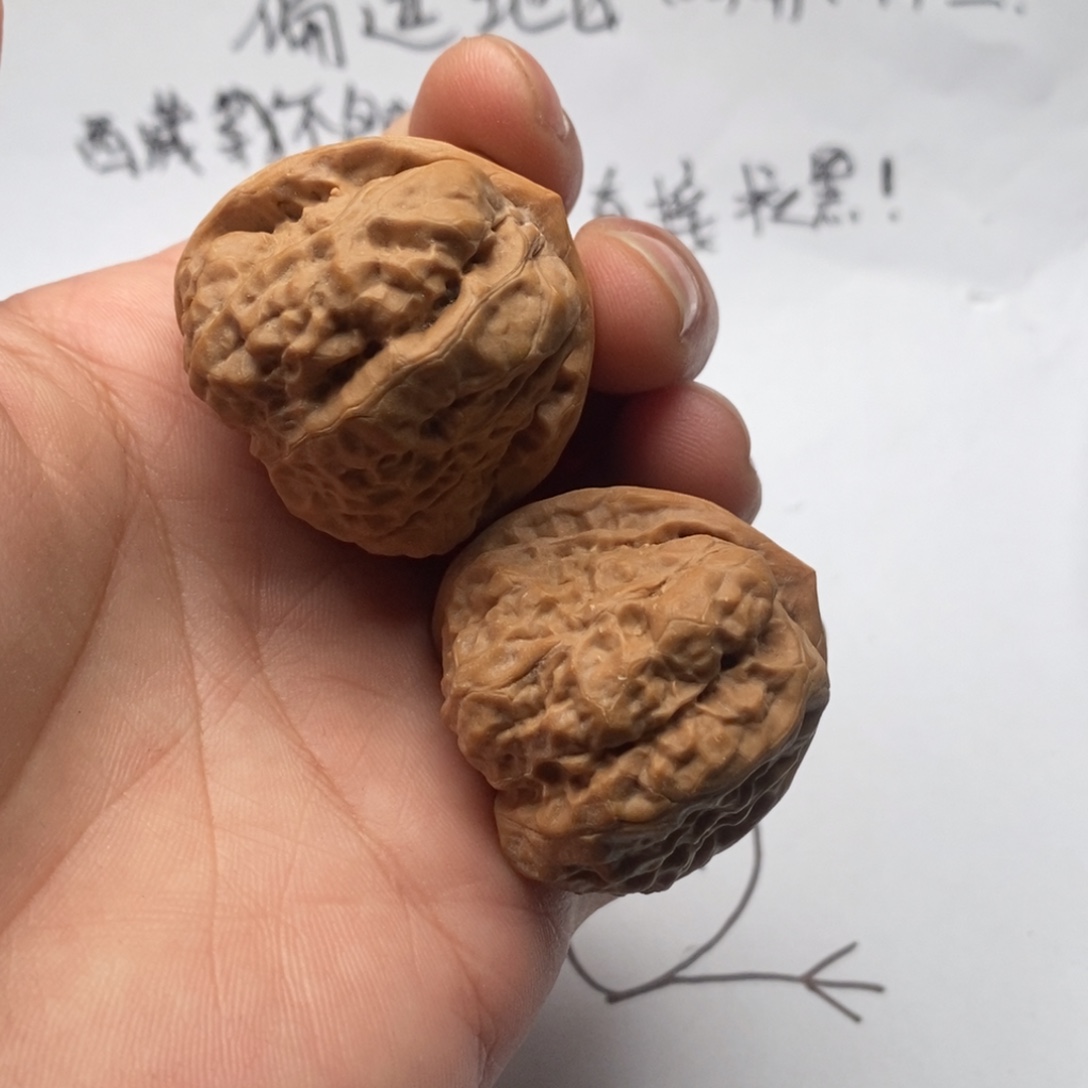 开****好的我真的是太喜欢
