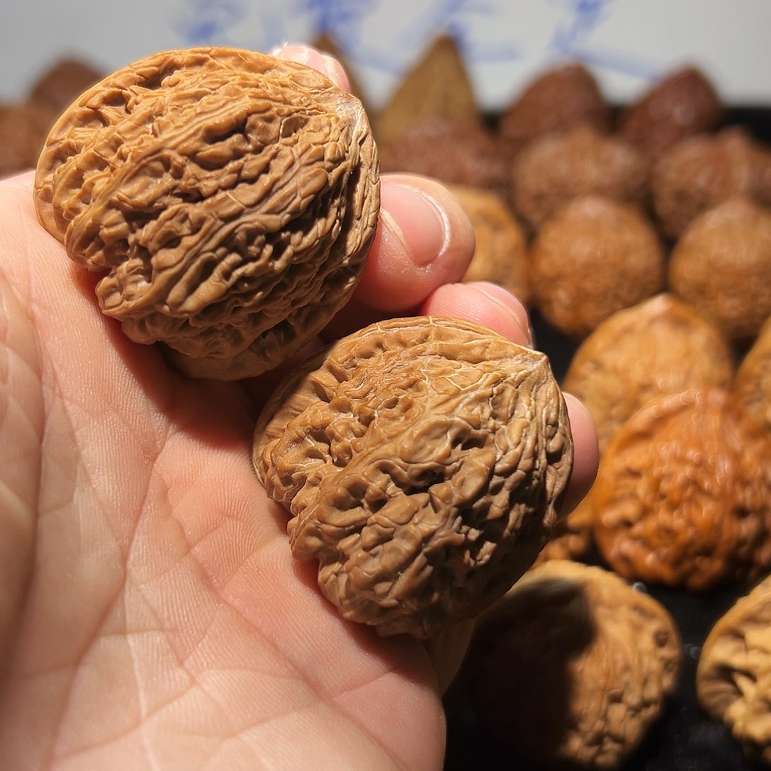 核桃其他风**程一代老树密纹