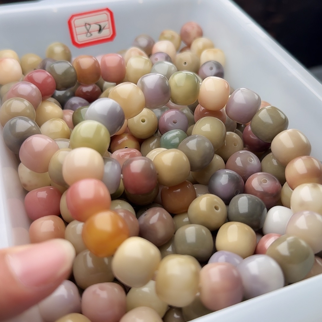 吊坠菩提根/象牙果50 颗霓虹灯 14 干磨桶