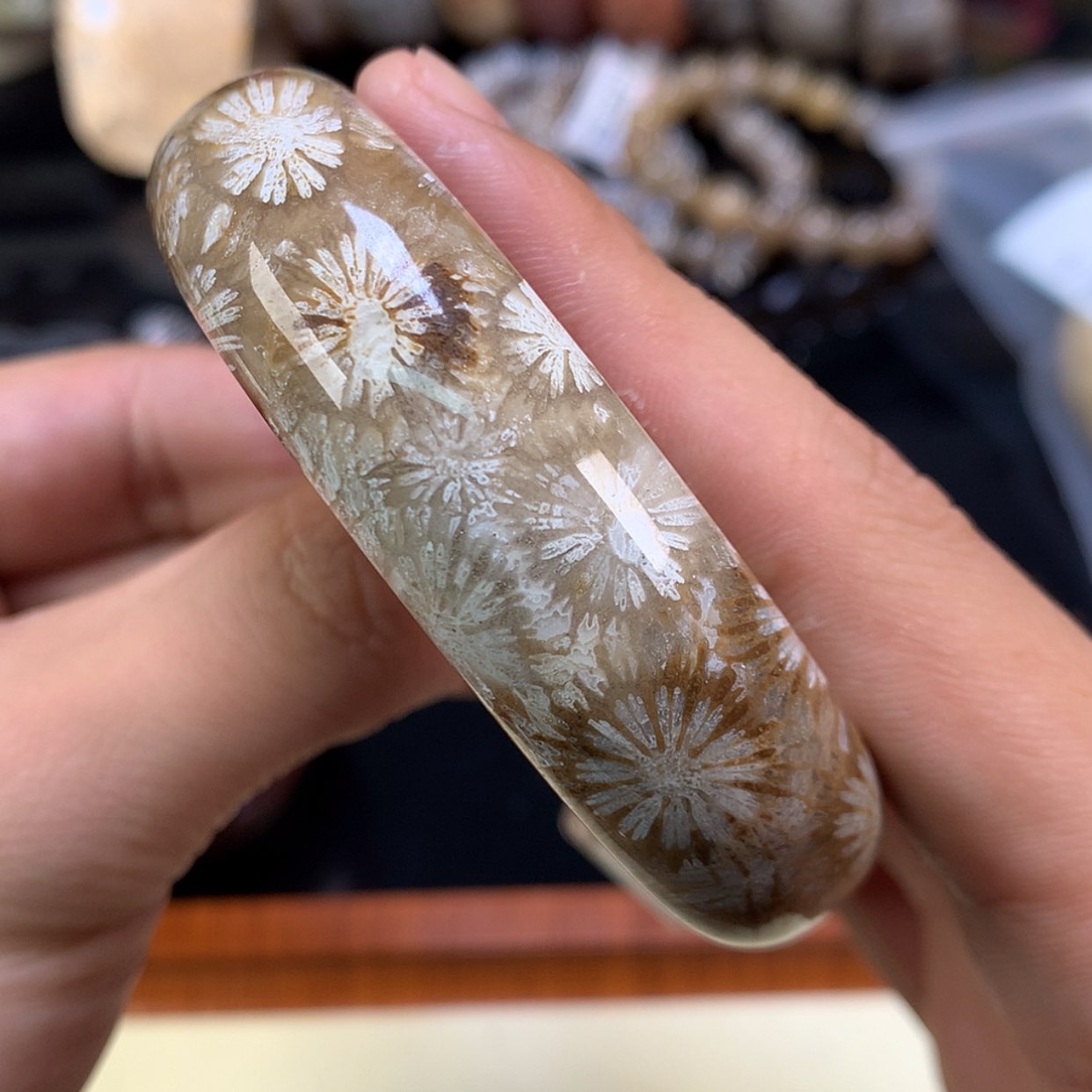 【闪购商品】颈饰未镶嵌硅化珊瑚（珊瑚玉）89号59.2圈赞比大花