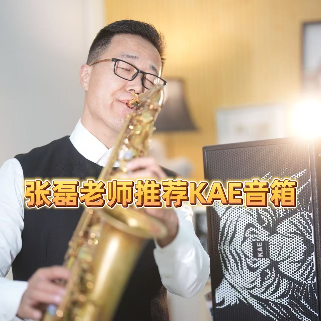 英国KAE音箱M8电吹管户外K歌萨克斯专用音响吉他弹唱