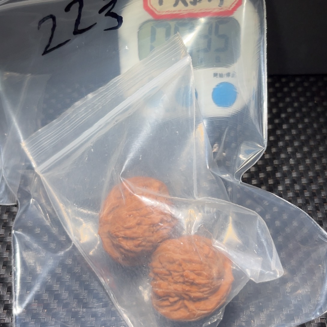 文玩核桃把件候*人22号楼子