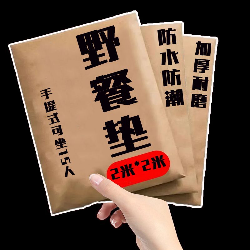 野餐垫户外防潮垫便携春游地垫野餐布ins风露营垫子野餐风筝风车