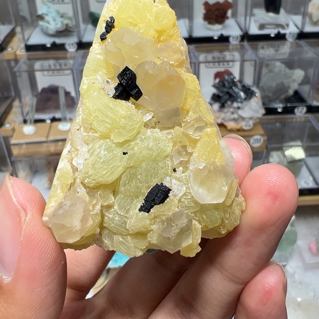 À***á有机玻璃葡萄干巴