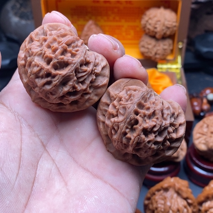 给***星核桃旭哥家宫灯狮子头