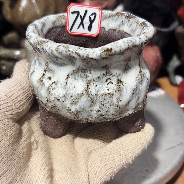 粗陶花盆，现在都不一样了