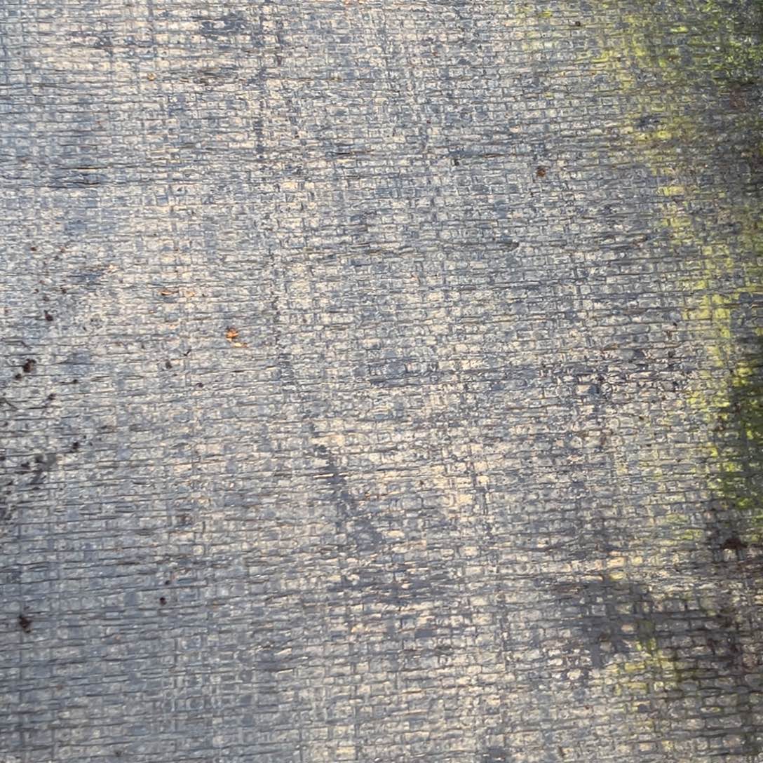 有***西下午多肉植物群生充值