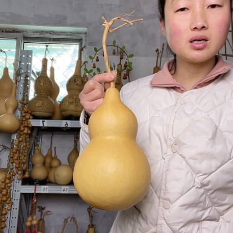 天然植物葫芦文玩