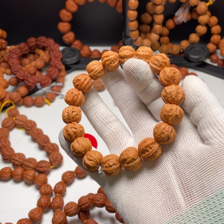 八棱小核桃小龙脊