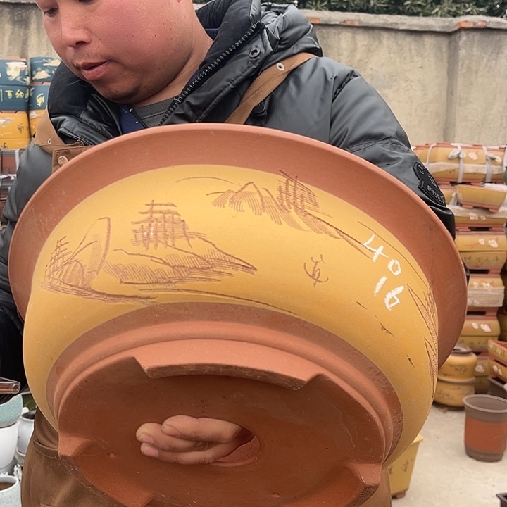 紫砂紫砂花盆盆栽