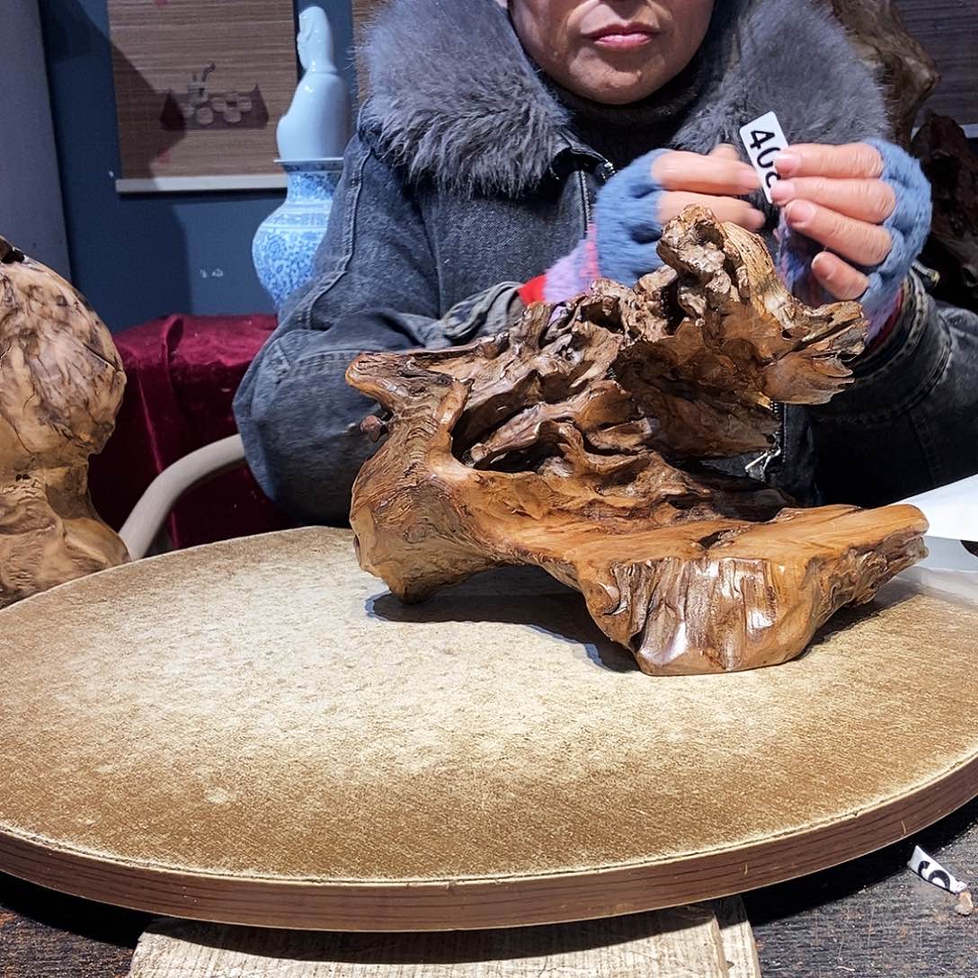 典***典408。株木随行根艺