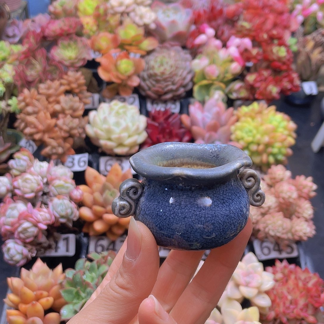 ****）花钱花钱花钱花钱花钱