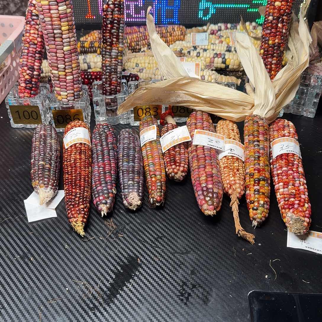 不***银大叶紫檀（黑酸枝木类）