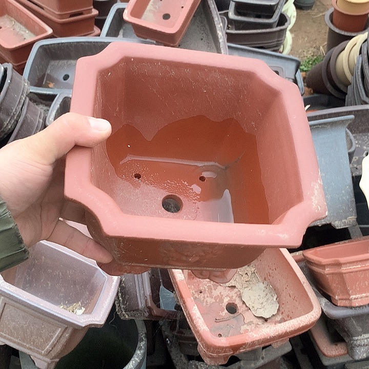 紫砂没有你喜欢吃辣不