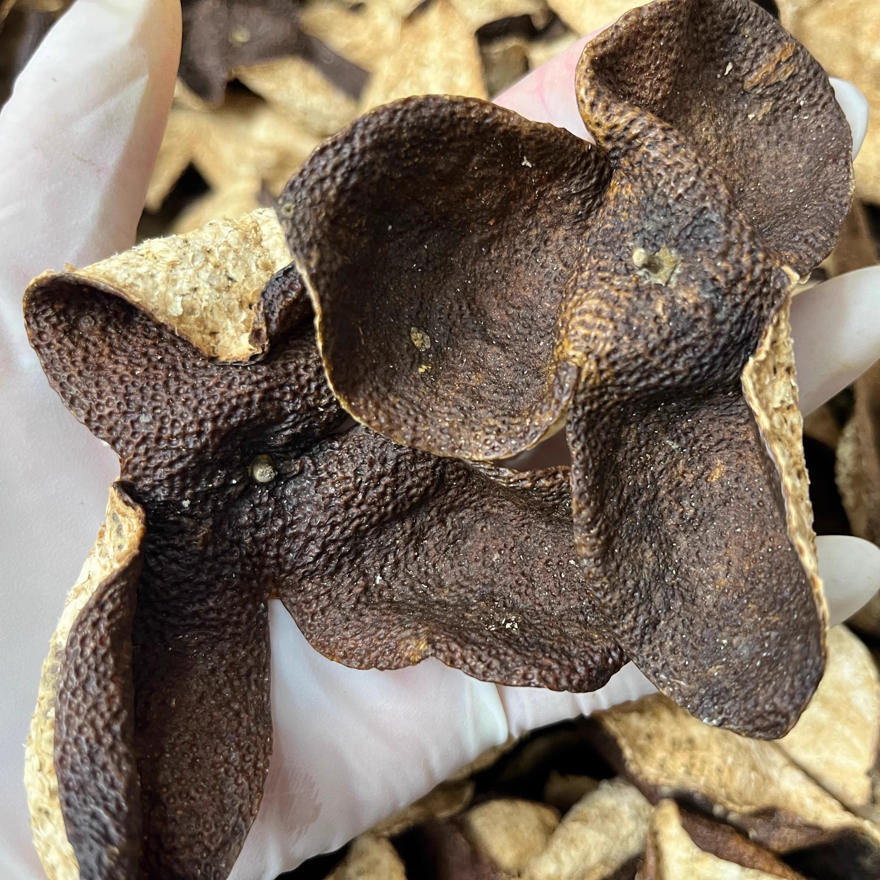 《5-8年天马口粮皮陈皮》大红皮自然陈化干仓存储老树皮