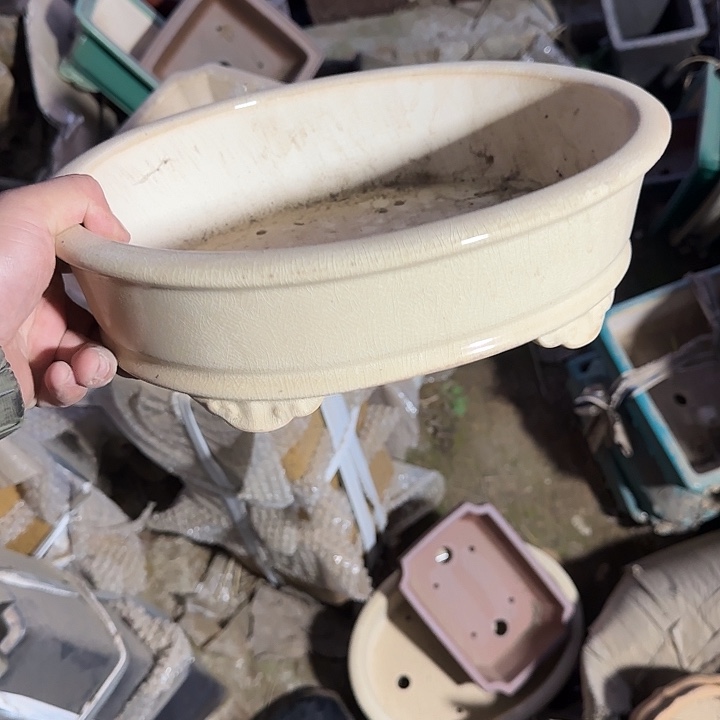 不说算什么呀亲爱的在那你干吧明天再说哇别