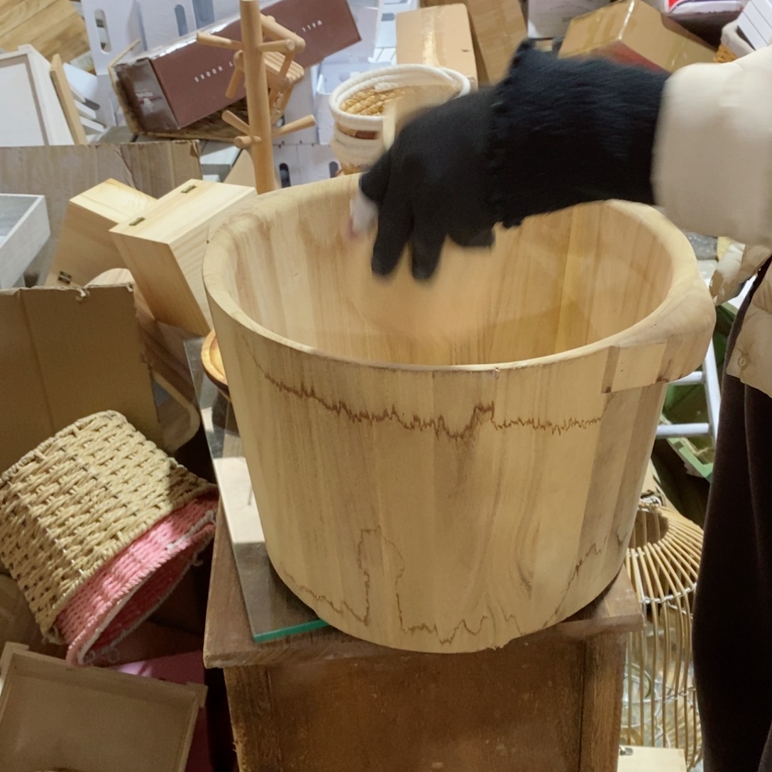 木闪购链接编号018