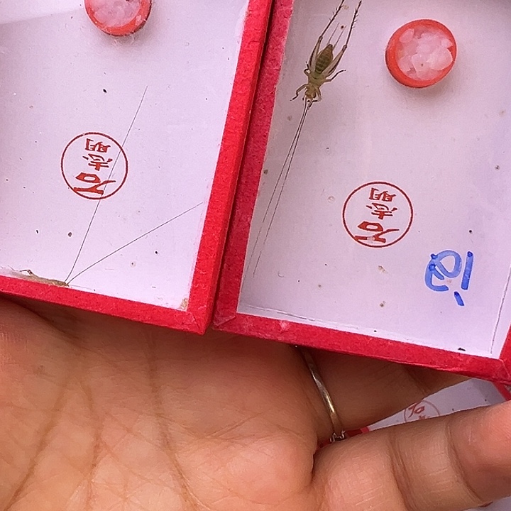 漫***人哈哈哈哈哈哈哈哈哈哈哈哈哈哈哈