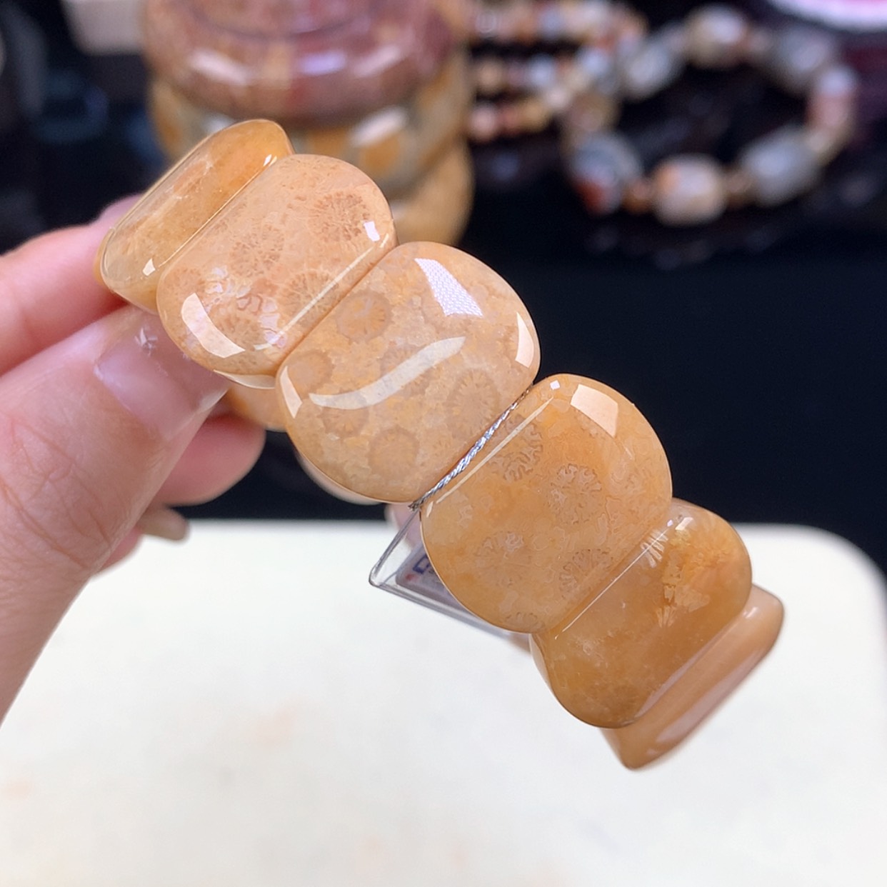 【闪购商品】颈饰未镶嵌硅化珊瑚（珊瑚玉）开播福利1号