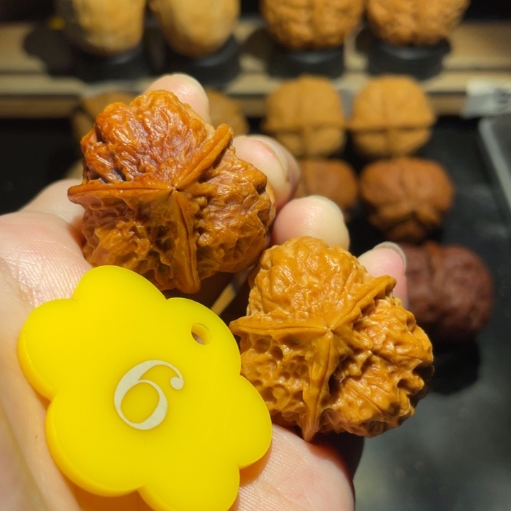 三棱33尺寸核桃。  