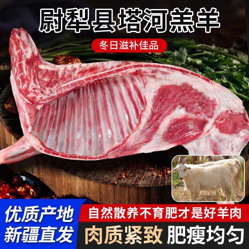 新疆尉犁县塔河羔羊 无膻味， 小羊， 散养