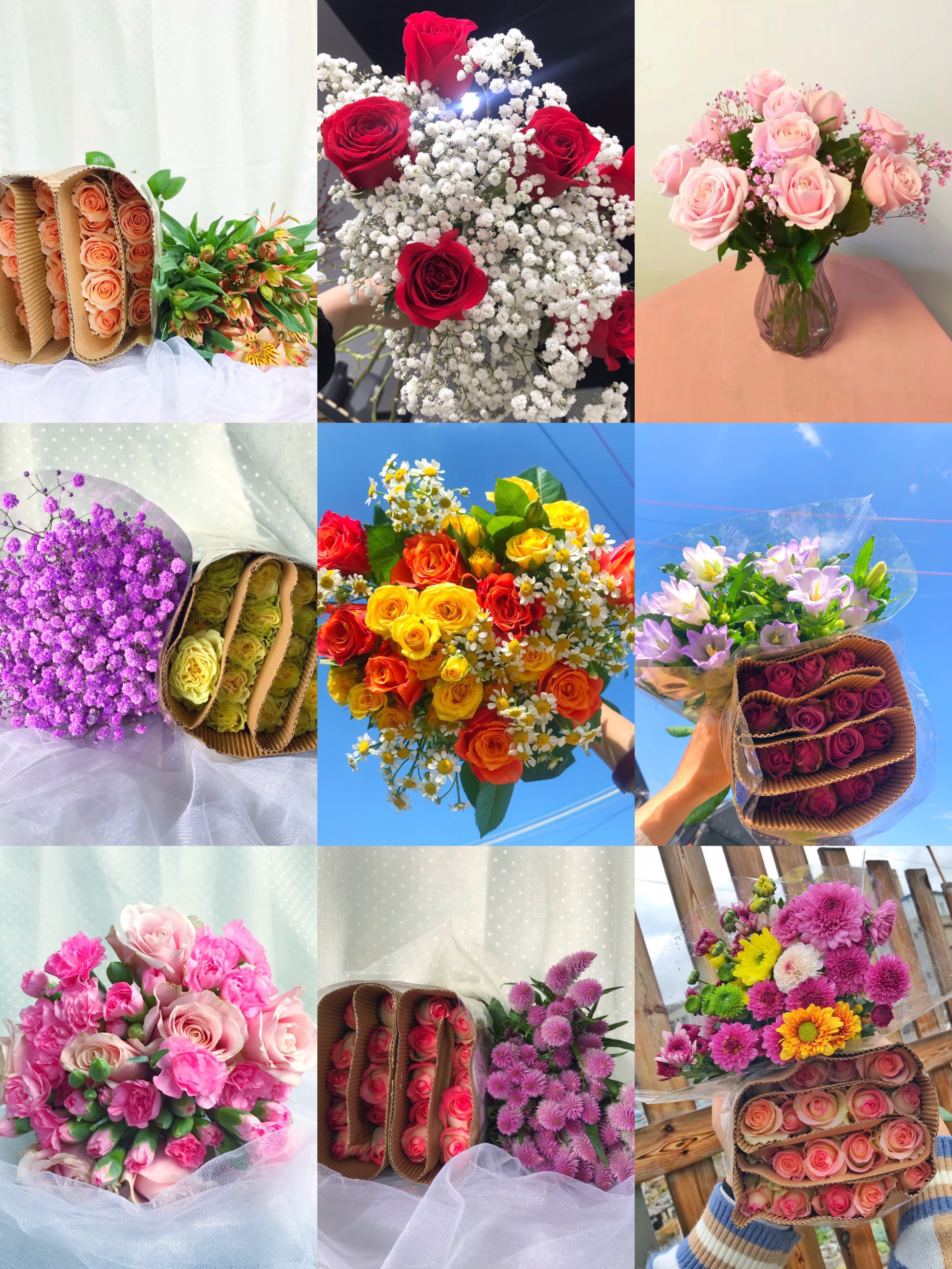 【优惠福利套餐】 套餐A34    云南基地鲜花   家养    水养