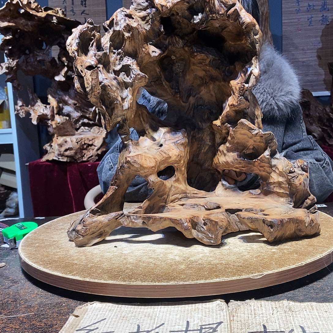 克***拉463。株木随行根艺