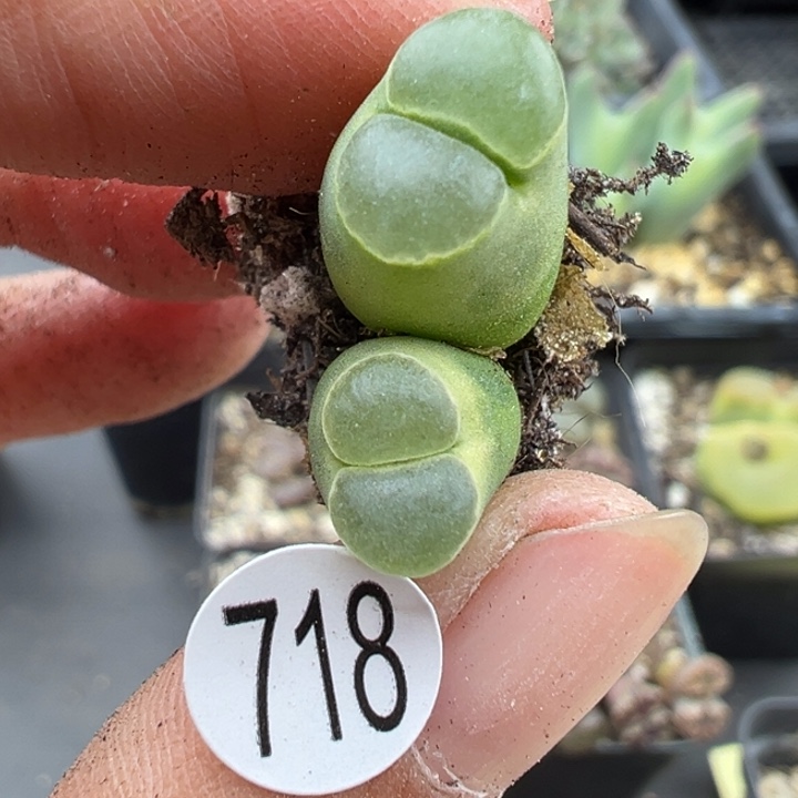 718号1111111111111111