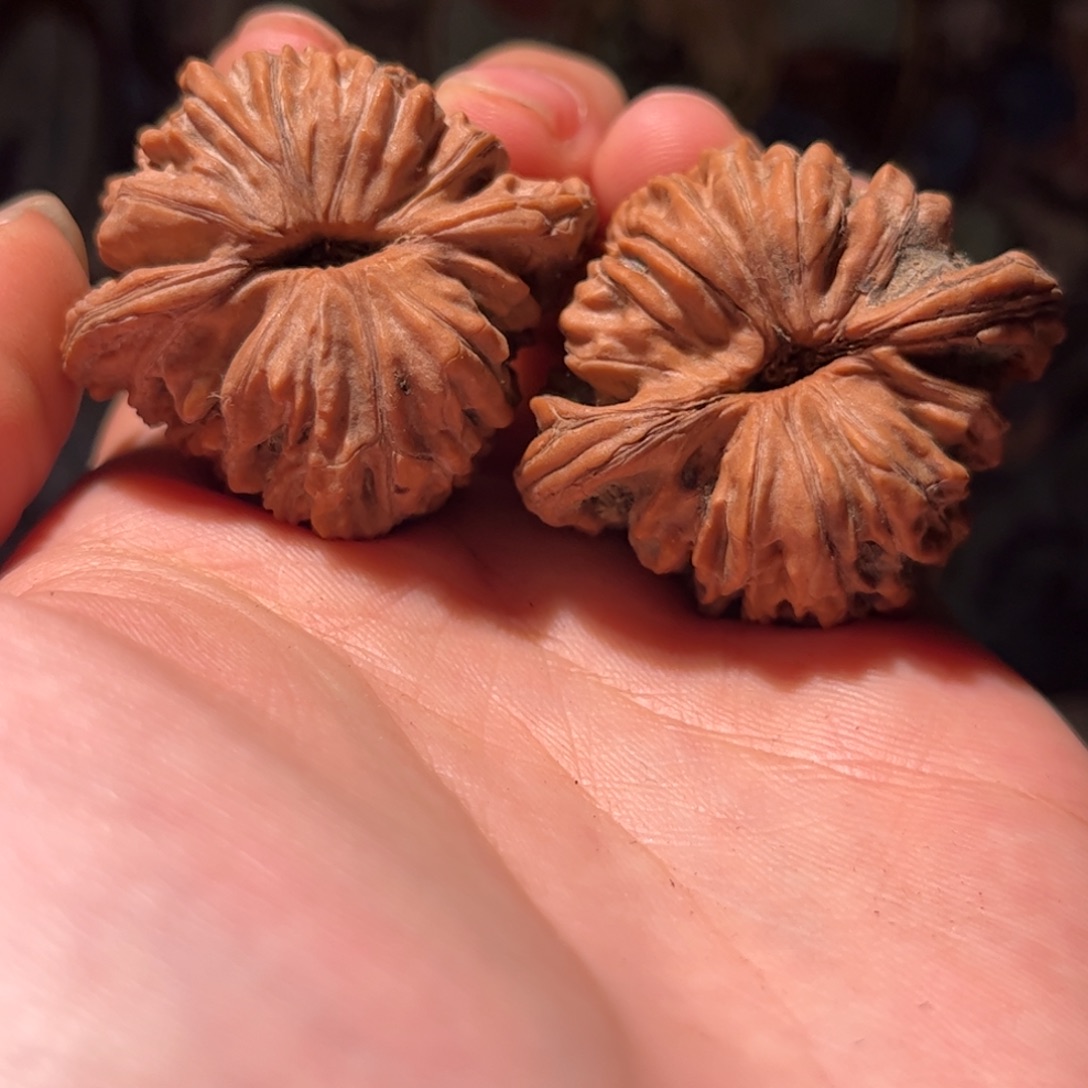 张***生木质41四座楼狮子头