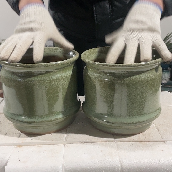 红陶正品20/19两个