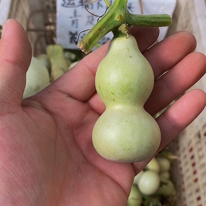 吕*㗊哈哈哈哈哈哈哈哈哈哈