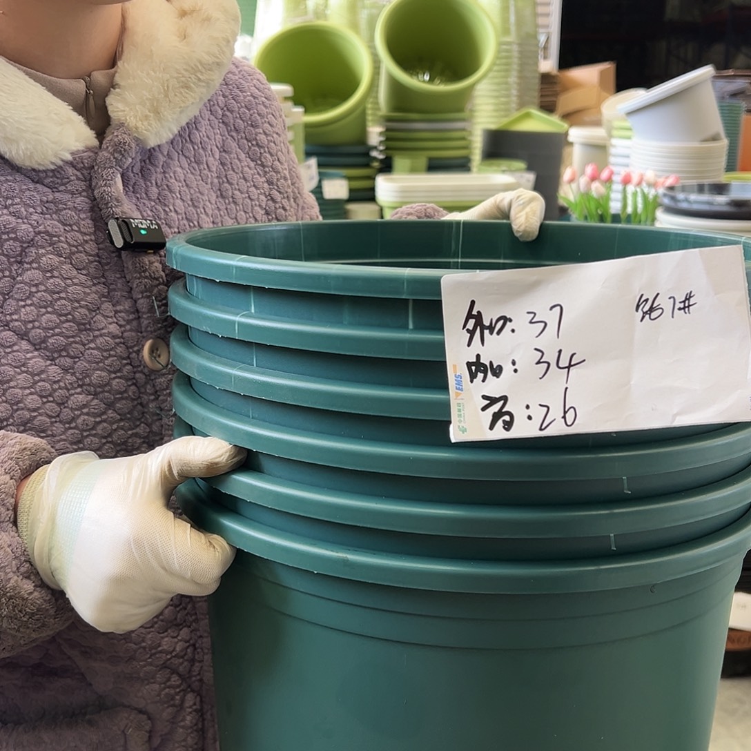 瑕疵矮胖7#墨绿6个无托